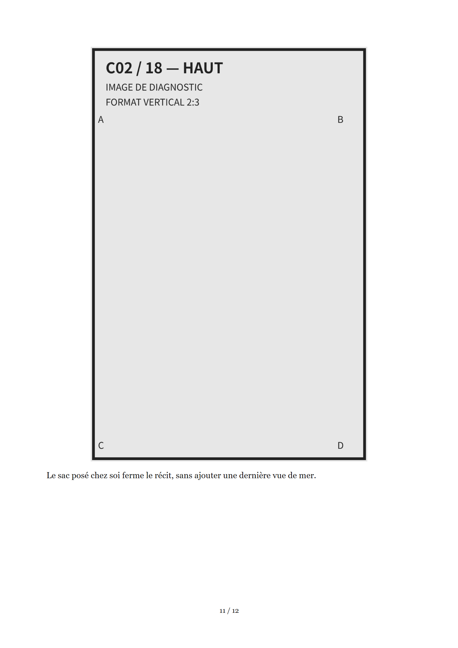 C02, page 11 sur 12 : rendu A4 avec 1 images de diagnostic